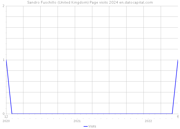Sandro Fuschillo (United Kingdom) Page visits 2024 