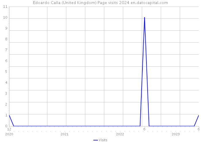 Edoardo Calla (United Kingdom) Page visits 2024 
