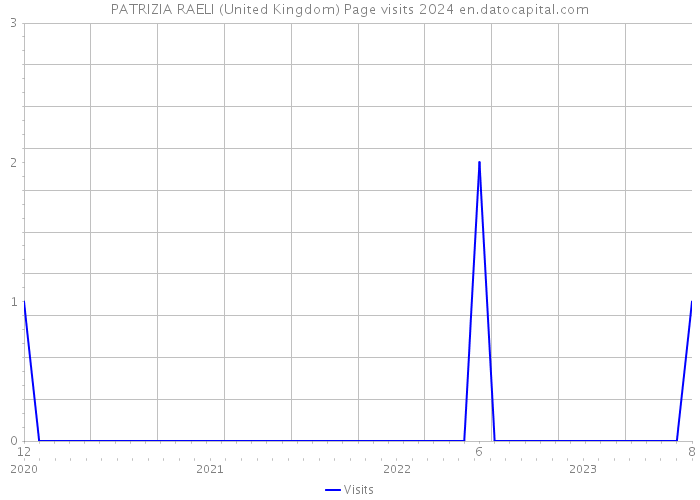 PATRIZIA RAELI (United Kingdom) Page visits 2024 