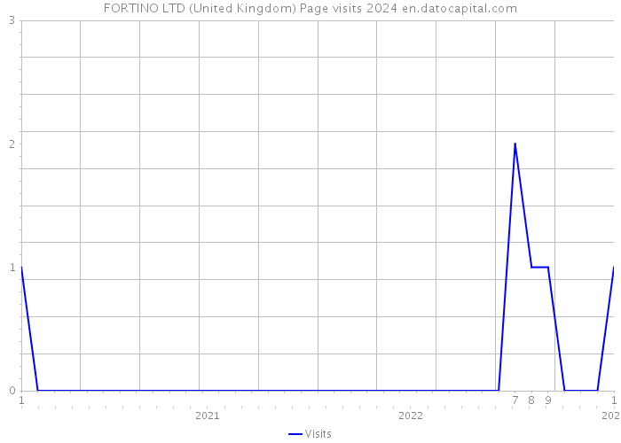 FORTINO LTD (United Kingdom) Page visits 2024 