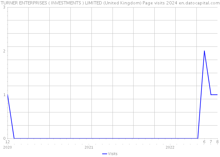 TURNER ENTERPRISES ( INVESTMENTS ) LIMITED (United Kingdom) Page visits 2024 