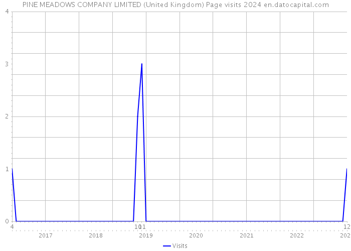 PINE MEADOWS COMPANY LIMITED (United Kingdom) Page visits 2024 