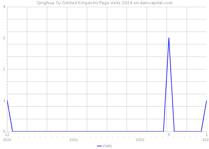 Qinghua Yu (United Kingdom) Page visits 2024 