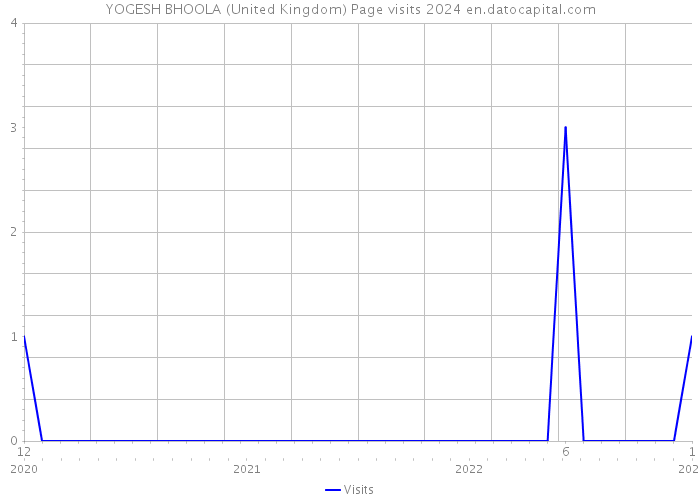 YOGESH BHOOLA (United Kingdom) Page visits 2024 
