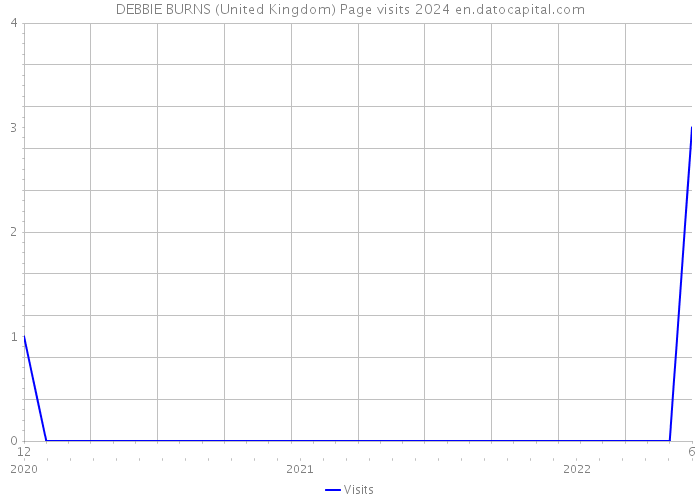 DEBBIE BURNS (United Kingdom) Page visits 2024 