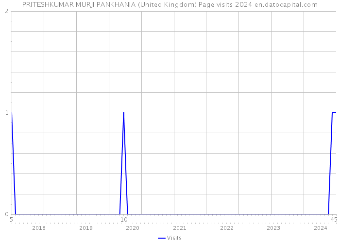 PRITESHKUMAR MURJI PANKHANIA (United Kingdom) Page visits 2024 