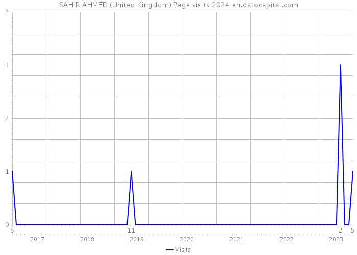 SAHIR AHMED (United Kingdom) Page visits 2024 