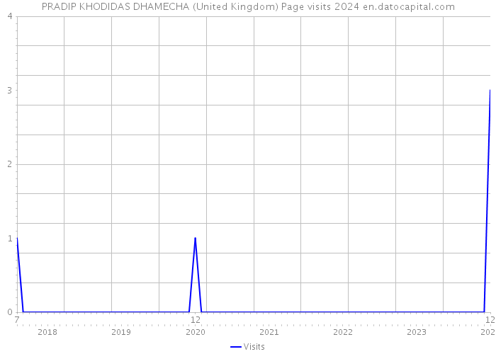 PRADIP KHODIDAS DHAMECHA (United Kingdom) Page visits 2024 