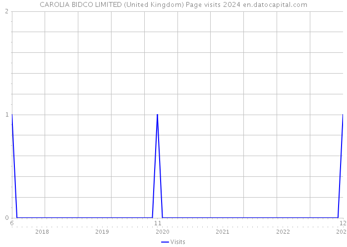 CAROLIA BIDCO LIMITED (United Kingdom) Page visits 2024 