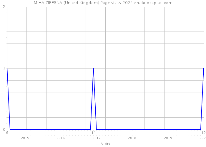 MIHA ZIBERNA (United Kingdom) Page visits 2024 