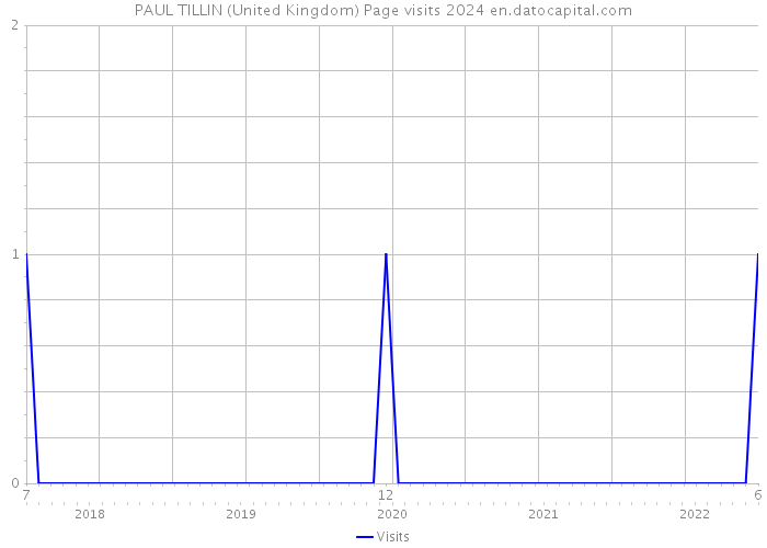 PAUL TILLIN (United Kingdom) Page visits 2024 