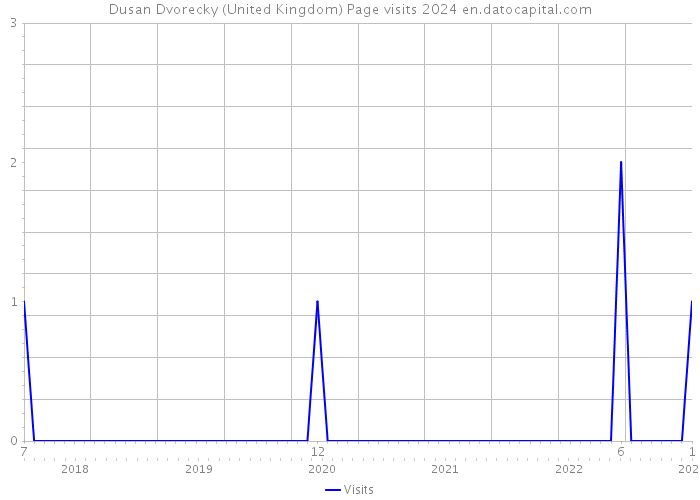 Dusan Dvorecky (United Kingdom) Page visits 2024 