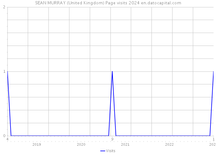 SEAN MURRAY (United Kingdom) Page visits 2024 