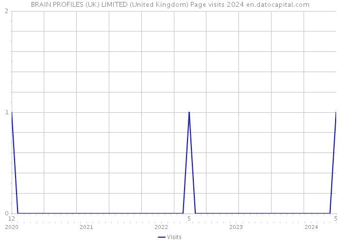 BRAIN PROFILES (UK) LIMITED (United Kingdom) Page visits 2024 
