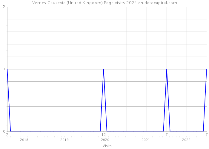 Vernes Causevic (United Kingdom) Page visits 2024 