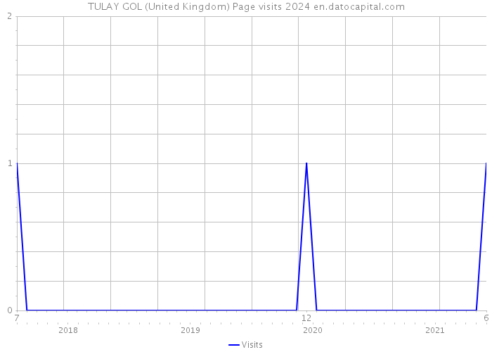 TULAY GOL (United Kingdom) Page visits 2024 