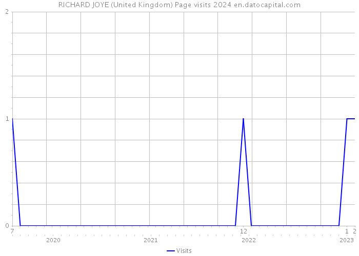 RICHARD JOYE (United Kingdom) Page visits 2024 