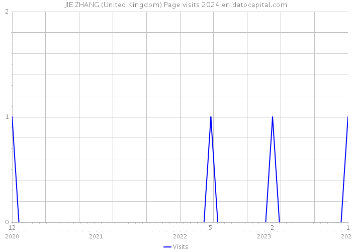 JIE ZHANG (United Kingdom) Page visits 2024 