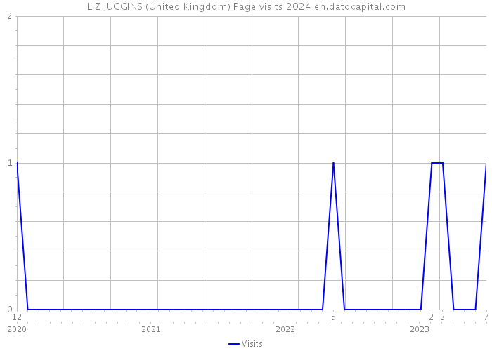 LIZ JUGGINS (United Kingdom) Page visits 2024 