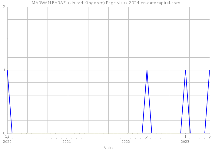 MARWAN BARAZI (United Kingdom) Page visits 2024 