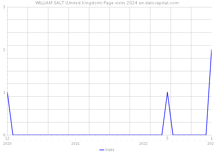 WILLIAM SALT (United Kingdom) Page visits 2024 