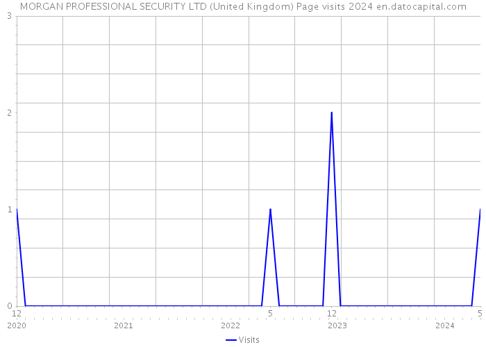 MORGAN PROFESSIONAL SECURITY LTD (United Kingdom) Page visits 2024 