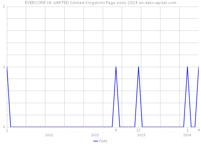 EVERCORE UK LIMITED (United Kingdom) Page visits 2024 