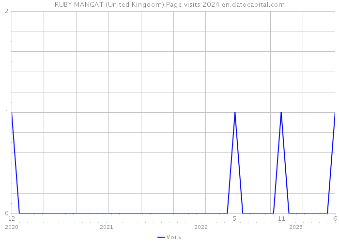 RUBY MANGAT (United Kingdom) Page visits 2024 