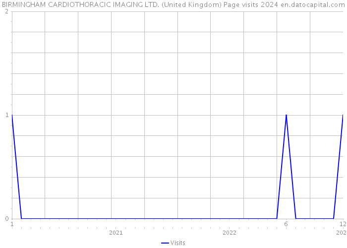 BIRMINGHAM CARDIOTHORACIC IMAGING LTD. (United Kingdom) Page visits 2024 