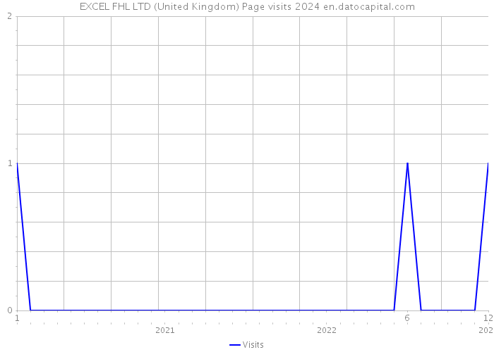 EXCEL FHL LTD (United Kingdom) Page visits 2024 