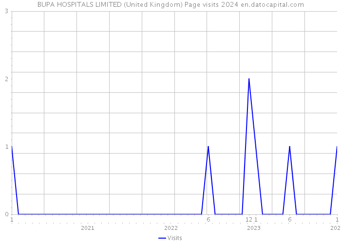 BUPA HOSPITALS LIMITED (United Kingdom) Page visits 2024 