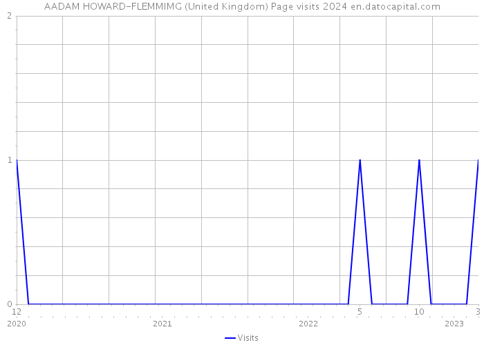 AADAM HOWARD-FLEMMIMG (United Kingdom) Page visits 2024 