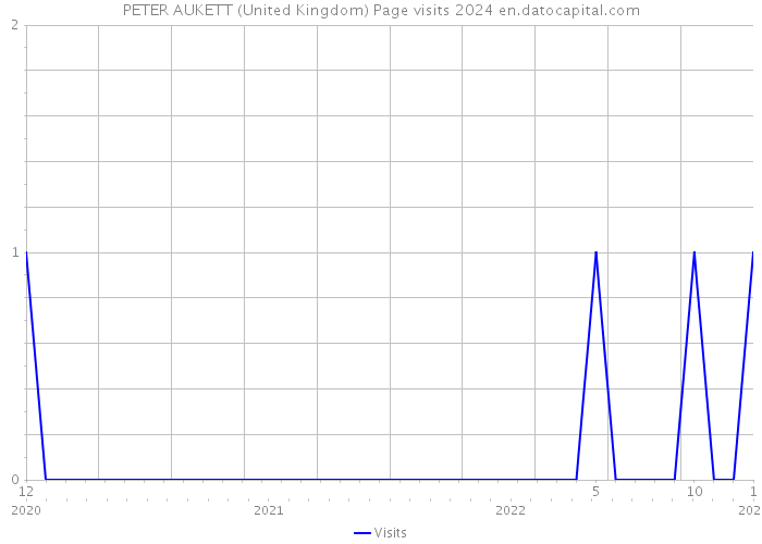 PETER AUKETT (United Kingdom) Page visits 2024 