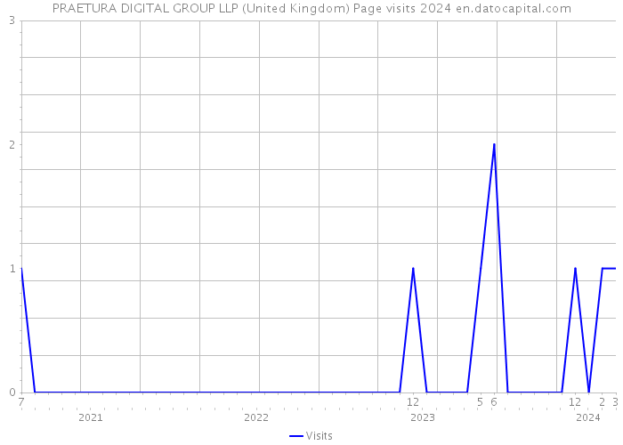 PRAETURA DIGITAL GROUP LLP (United Kingdom) Page visits 2024 