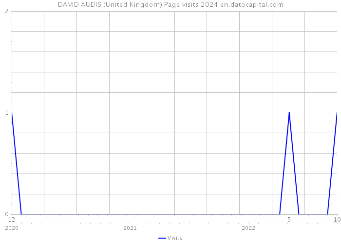 DAVID AUDIS (United Kingdom) Page visits 2024 