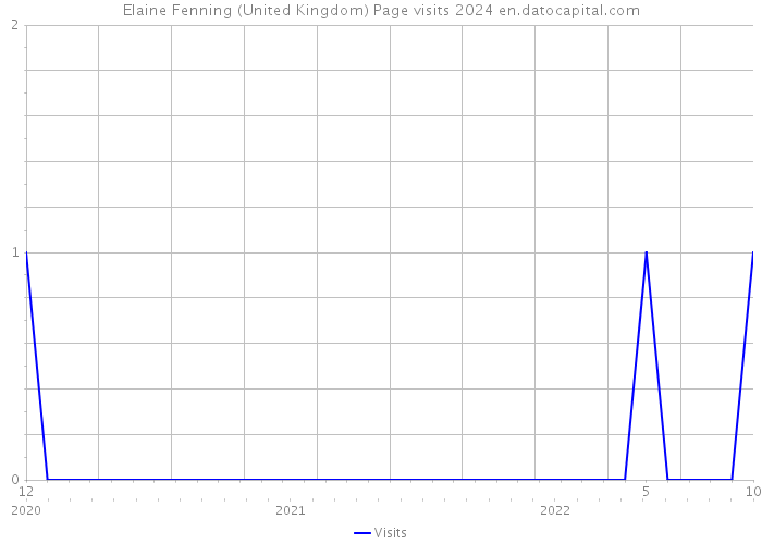 Elaine Fenning (United Kingdom) Page visits 2024 