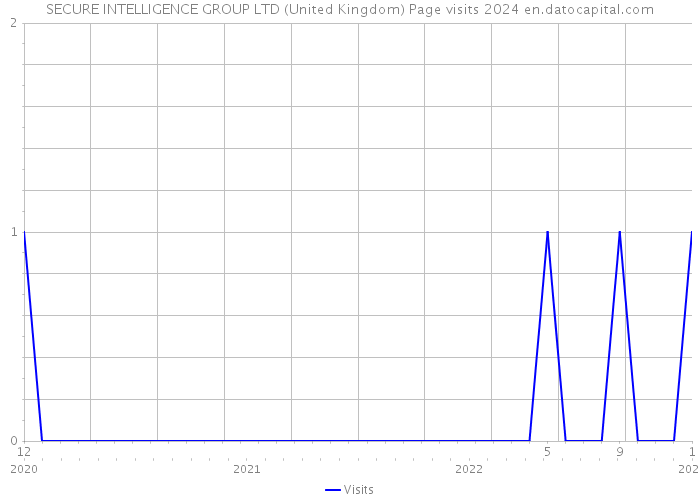 SECURE INTELLIGENCE GROUP LTD (United Kingdom) Page visits 2024 
