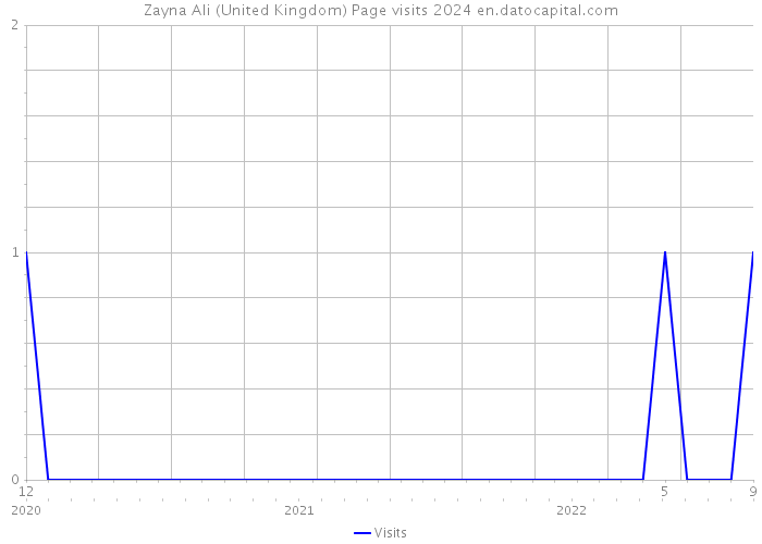 Zayna Ali (United Kingdom) Page visits 2024 