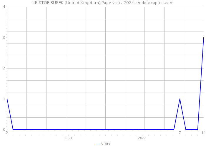 KRISTOF BUREK (United Kingdom) Page visits 2024 