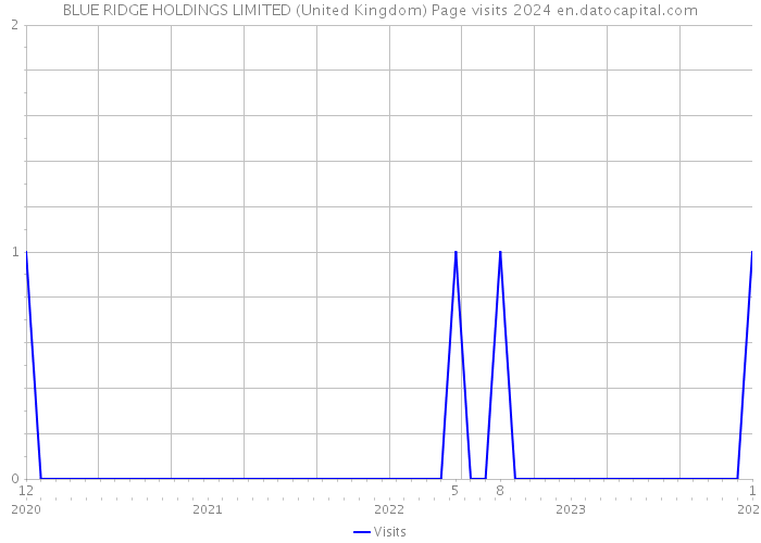 BLUE RIDGE HOLDINGS LIMITED (United Kingdom) Page visits 2024 
