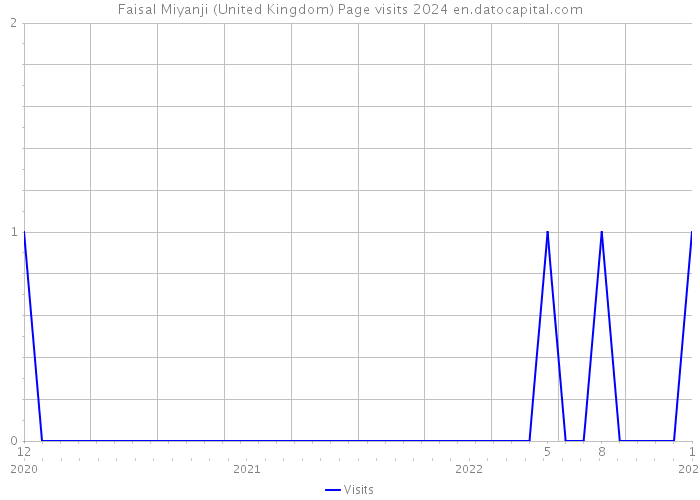 Faisal Miyanji (United Kingdom) Page visits 2024 