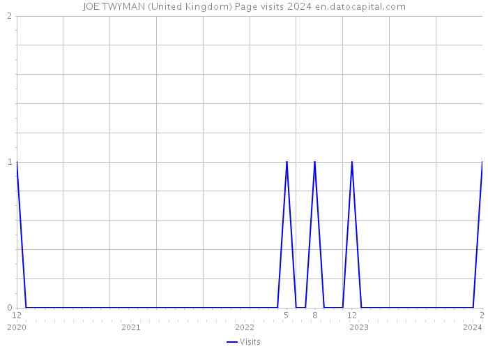 JOE TWYMAN (United Kingdom) Page visits 2024 