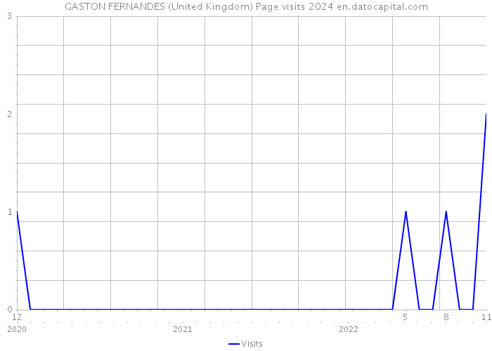 GASTON FERNANDES (United Kingdom) Page visits 2024 