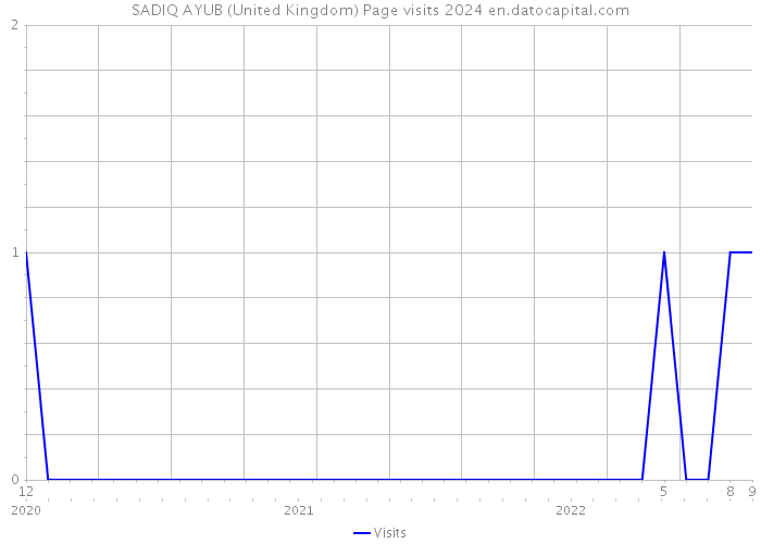 SADIQ AYUB (United Kingdom) Page visits 2024 