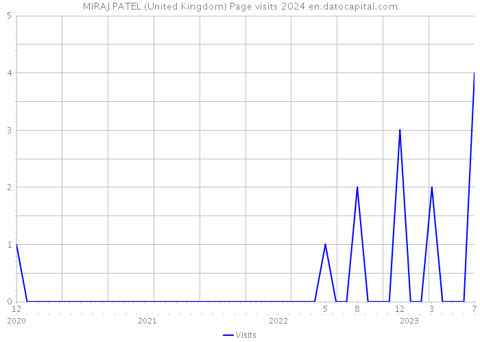 MIRAJ PATEL (United Kingdom) Page visits 2024 