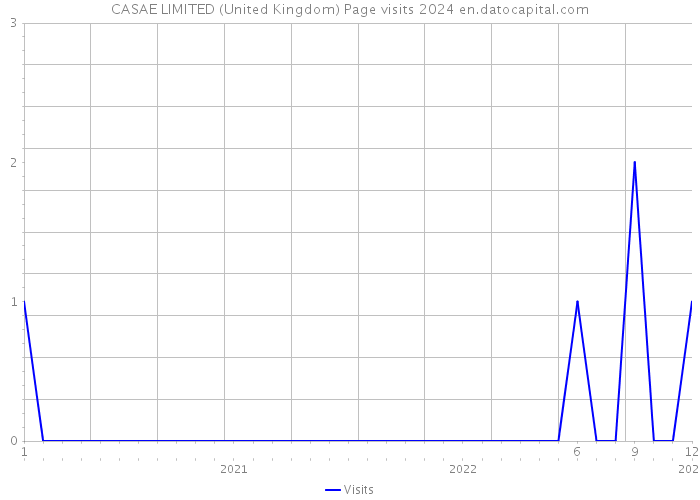CASAE LIMITED (United Kingdom) Page visits 2024 