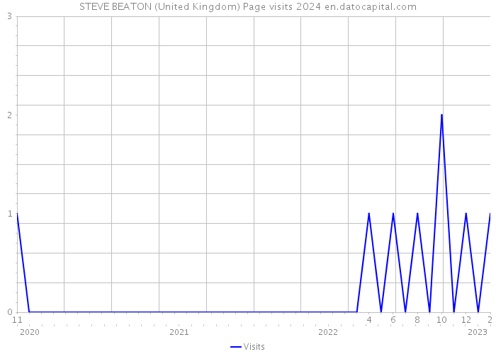 STEVE BEATON (United Kingdom) Page visits 2024 