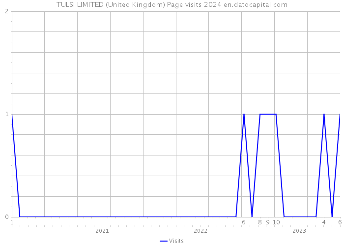 TULSI LIMITED (United Kingdom) Page visits 2024 
