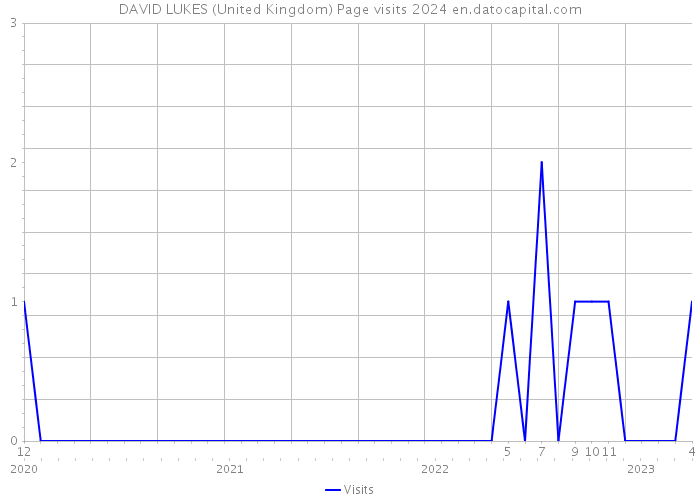 DAVID LUKES (United Kingdom) Page visits 2024 