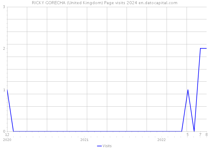 RICKY GORECHA (United Kingdom) Page visits 2024 
